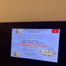 에스티 | 송탄24시간카페 와플맛집 노크에스티 후기!