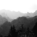 무릉도원 이미지