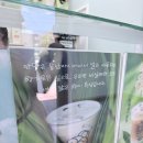 신의하우스 | [코타키나발루 카페 추천] 초록초록 판단잎 향에 취하다💚｜'Pandan House' (판단 하우스) 후기