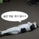 노랑통닭울산 - 북구 매산로 35 | 노랑통닭울산