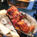 최상급 쪽갈비 백석역 맛집 인생극장 고양백석점