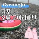 해변 | 감포 오류 고아라해변 스노쿨링 후기 ( 평상 샤워실 주차장 )