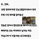 빡빡이클럽 티스토리