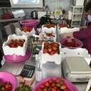 들말농장 이미지