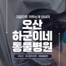 하군이네 동물병원 이미지