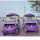 퍼플여행 이미지