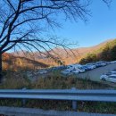 대성산 사슴농장 | 광할한 억새밭이 펼쳐지는 간월재 억새군락지 (2022년 11월 주말)