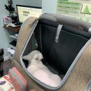 시마동물병원 이미지
