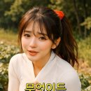 이런 멍청이가 있나 이미지