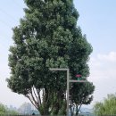 선유도공원, 서울데이트장소추천