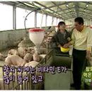도흥리정보화