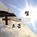 빛과소금 이미지