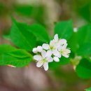 한라수목원 이미지