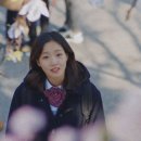 도깨비나무 이미지