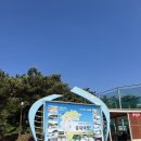 풍성집 이미지