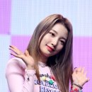 연희 티스토리