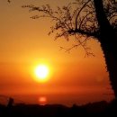 새순펜션 이미지