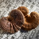 평화당한의원 이미지