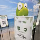 김정문알로에 성동지부 | 서울 팝업스토어 8월 가볼만한곳 DDP 전시 동대문 김정문알로에 크크롱