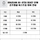 주짓수&엠엠에이 이미지