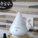 브로우제이 이미지