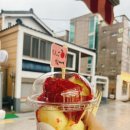 마루탕후루부경대점 이미지