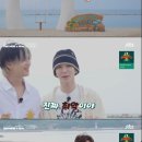 율포농장 이미지