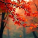 W. A. 모차르트_ 교향곡 제25번 G 단조 中 1악장 이미지