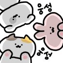 켈리플레르 이미지