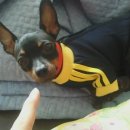 청산주유소 이미지