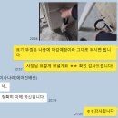 (주)월드창호 | #5_셀인에어컨 시공후기_에어컨 매립배관은 역시 이사나라!