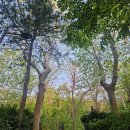 강서청소년회관 | 우장산 둘레길 산책 – 강서구 초록빛 힐링 코스 &amp; 5월 그린페스타 정보