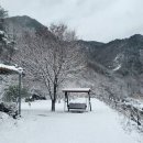 숲과개울펜션야영장 | 찐 힐링 성지 발견! 숲과 개울 오토 캠핑 &amp; 펜션 완전 정복기