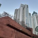 맘스터치 창원시티세븐점 텍사스바베큐 치킨버거세트 내돈내산 후기