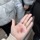 스시익스프레스 이미지