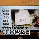 웨딩스냅 전문 업체 :: 까미유 스냅 솔직후기(더뉴컨벤션웨딩 르노브홀)