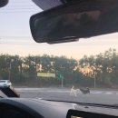 소풍이야기 민박 이미지