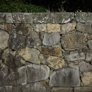 푸른마을관리사무소 | [대마도] 신화의마을 캠핑장 사이트 후기