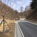 문수산자연휴양림 이미지