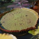 종각역 2번 출구 이미지