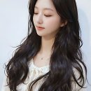 댕댕이 미장원 | 스타일 점검 시급! 리안헤어 방문 후기 대공개