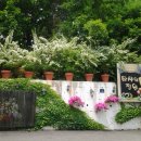 타샤의정원 이미지