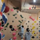 만은에너지(주) | 시흥 아이랑가볼만곳 추천 몽키즈클라이밍 시흥배곧점 체험부터 정규반까지 솔직후기