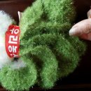 레몬트리농산물