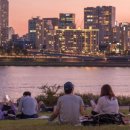 강아지와 산책 이미지