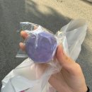 스위트팩토리월성 이미지