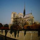 노틀담 이미지
