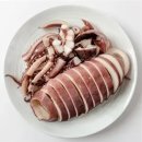 오징어(鱿魚, Squid) 이미지