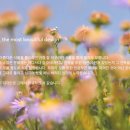 세이디자인 이미지