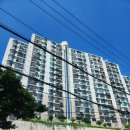 서구-01-28 이미지